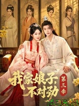 我家娘子,不对劲第三季